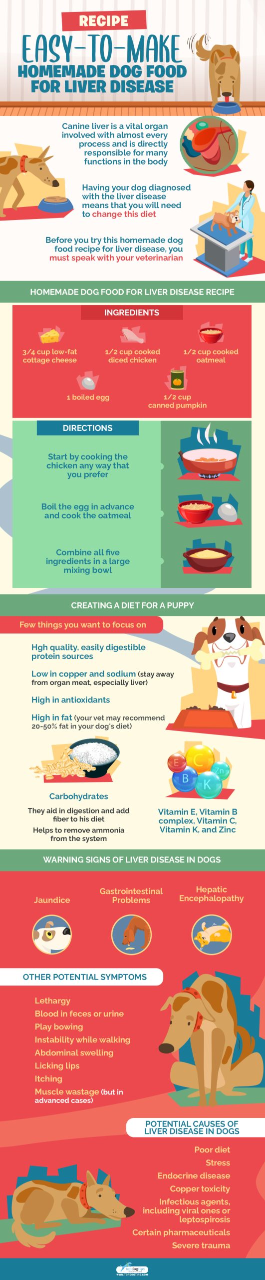 Recipe Easy-to-Make Homemade Dog Food for Liver Disease Infographic