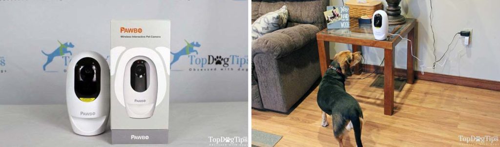 Review of Pawbo Pet Camera and Treat Dispenser Review of Pawbo Pet Camera and Treat Dispenser