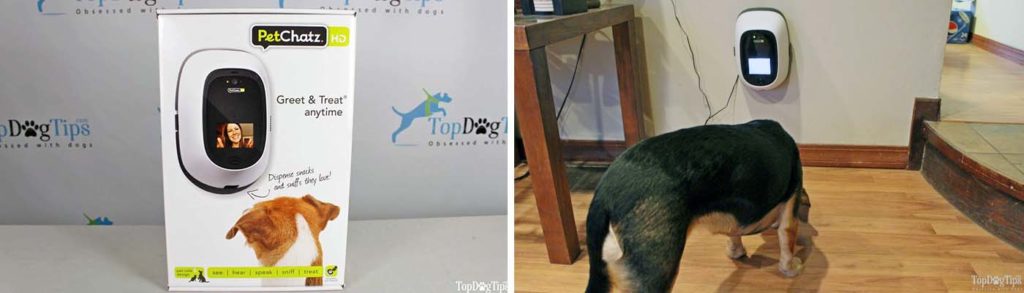 Review of PetChatz HD Pet Camera Review of PetChatz HD Pet Camera