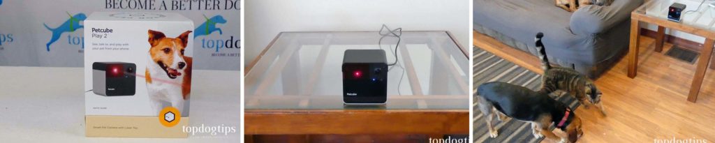 Review of Petcube Play 2 Dog Camera Review of Petcube Play 2 Dog Camera