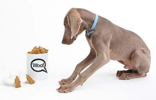 Sweet Potato Cookies for Dogs Sweet Potato Cookies for Dogs