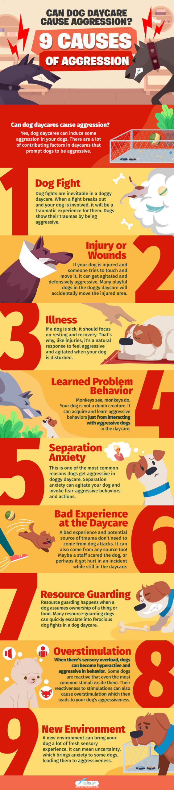 Can Dog Daycare Cause Aggression Infographic_1
