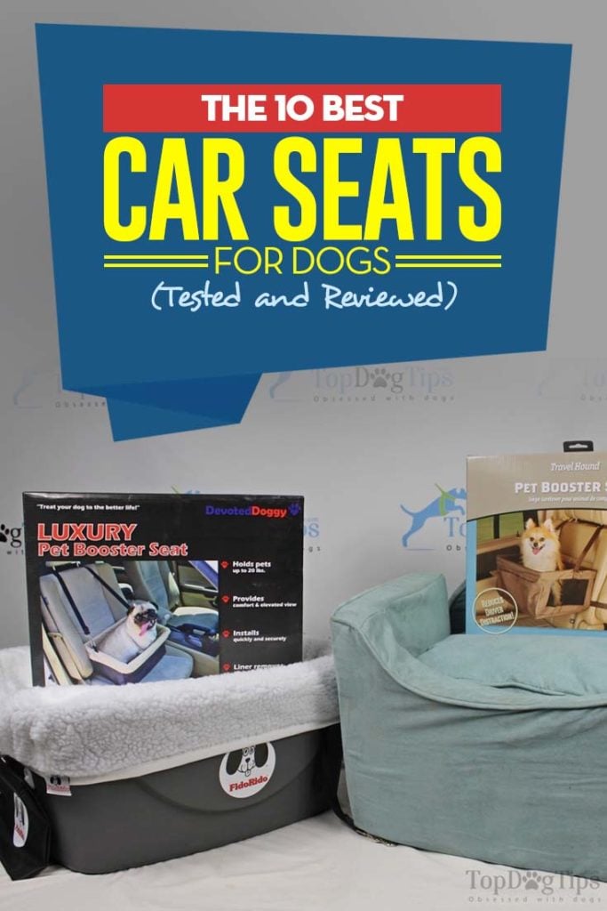 The Best Dog Car Seat Brands The Best Dog Car Seat Brands