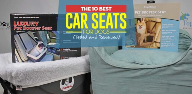 The Best Dog Car Seat Review The Best Dog Car Seat Review