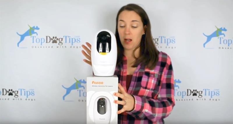 The Best Pet Monitor Camera The Best Pet Monitor Camera