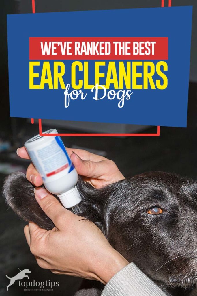 The Best Rated Ear Cleaners for Dogs 2020 The Best Rated Ear Cleaners for Dogs 2020