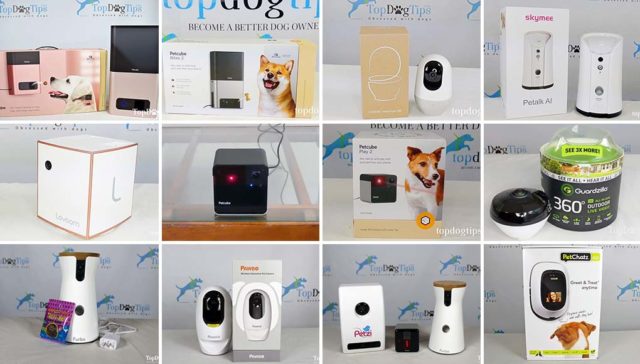 Top 10 Best Dog Cameras 2020 Top 10 Best Dog Cameras 2020