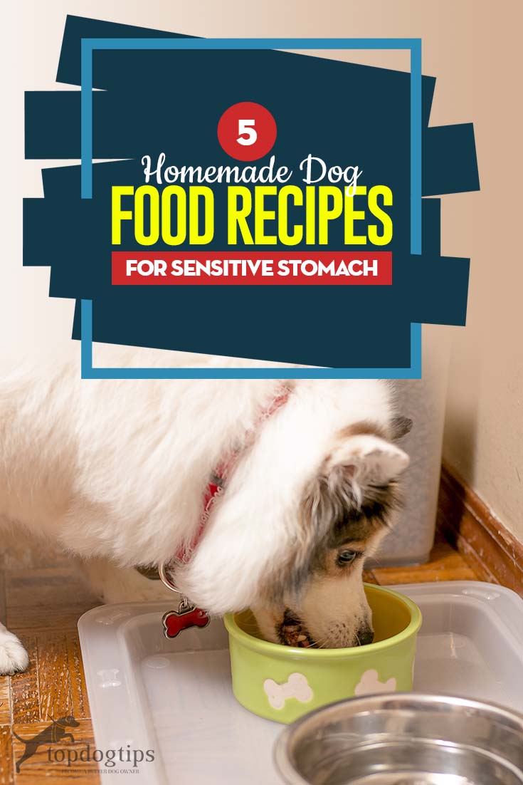 Top 5 Homemade Dog Food for Sensitive Stomach Recipes Top 5 Homemade Dog Food for Sensitive Stomach Recipes
