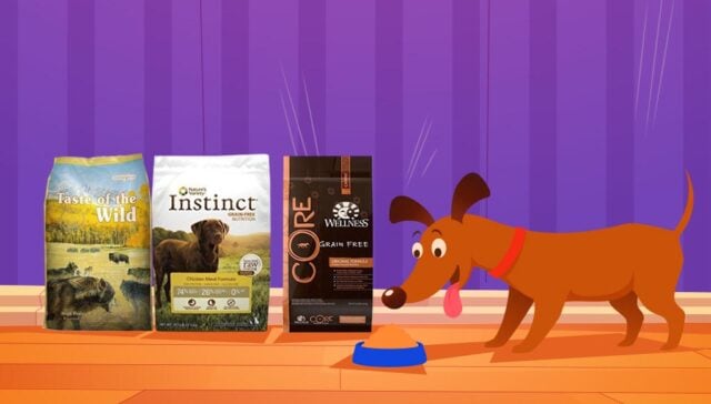 Top Dog Food Brands 2023 Top Dog Food Brands 2023