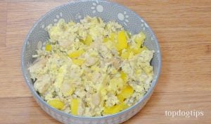 Veggie Omelet for Dogs