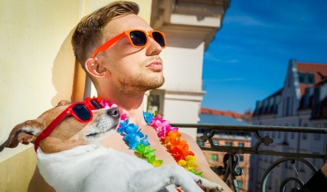 Ways to Keep Your Dog Cool in Summer Featured Image