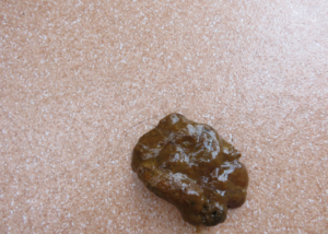 Soft and Foamy Dog Poop