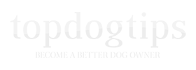 Top Dog Tips - Dog Food Recipes, Care Tips & Best Dog Supplies Reviews Top Dog Tips - Dog Food Recipes, Care Tips & Best Dog Supplies Reviews