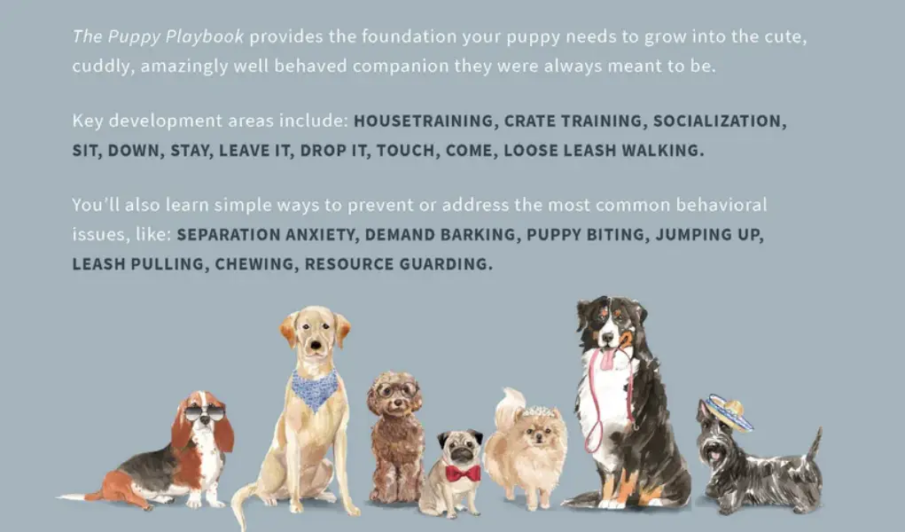 The Puppy Playbook The Puppy Playbook